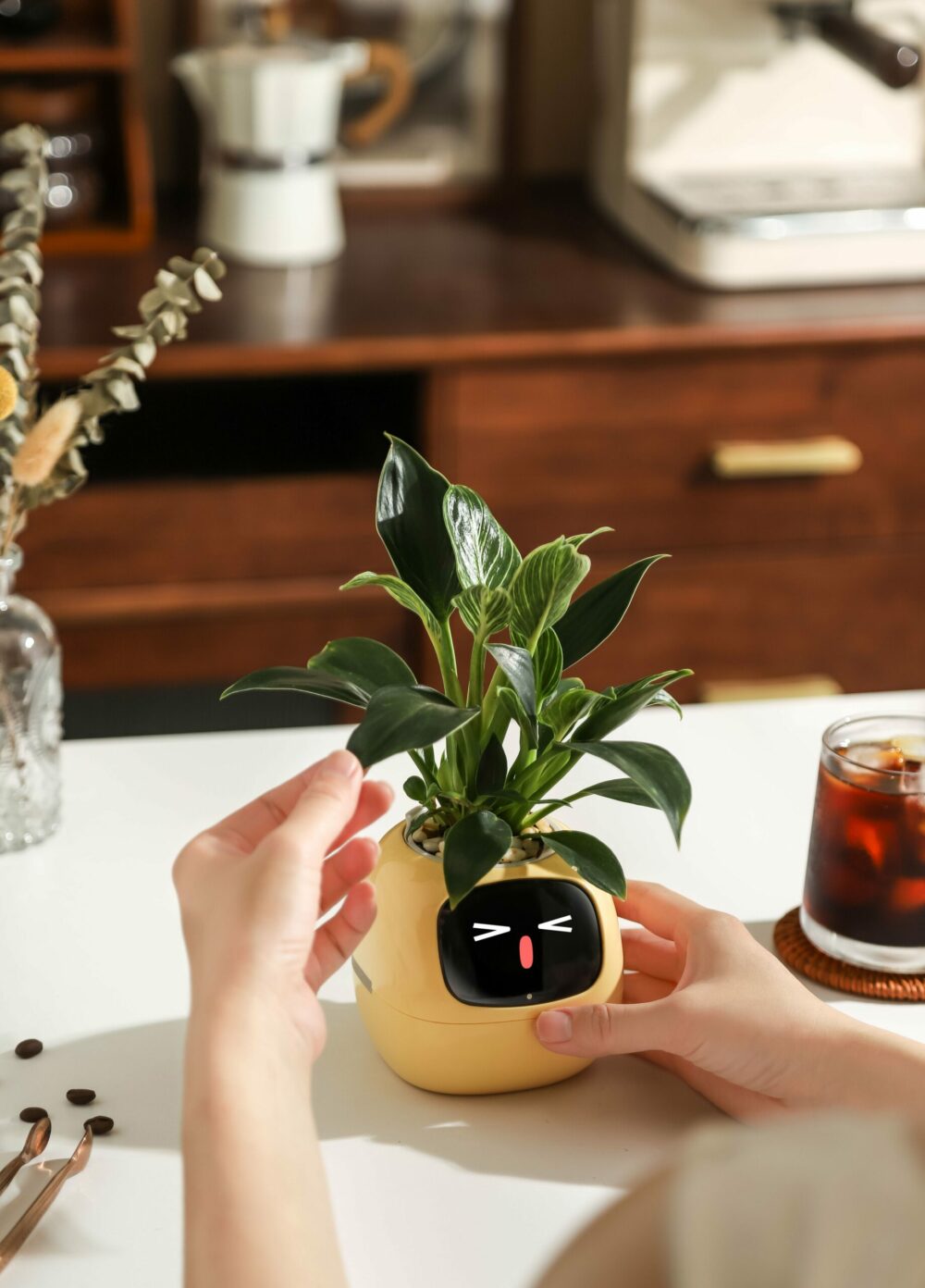 🔥Today Only Sale🔥Ivy Smart Planter🔥Plantagotchi-Al SmartPlanter - Image 11