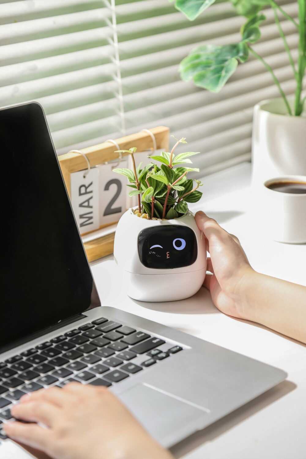 🔥Today Only Sale🔥Ivy Smart Planter🔥Plantagotchi-Al SmartPlanter - Image 9