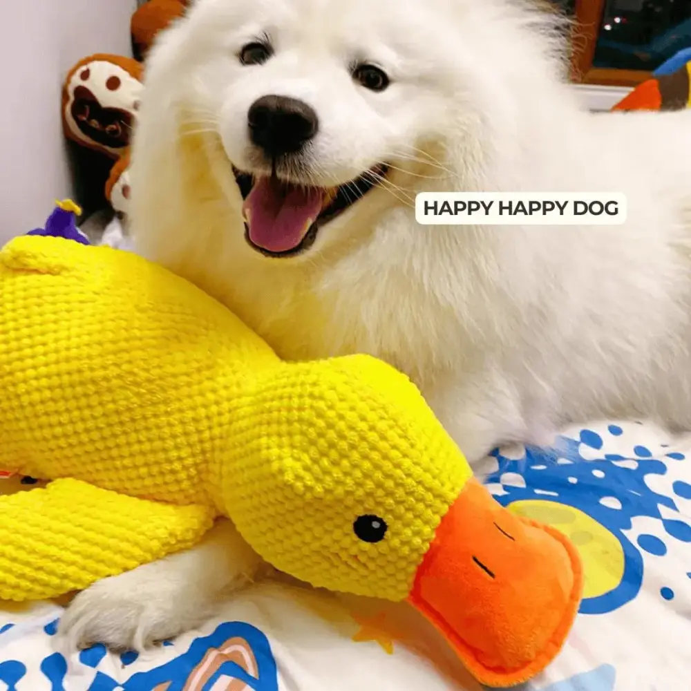 Calming Duck Toy by Wowpetsmart®-🔥 Halloween Special Buy one get one free - Image 5