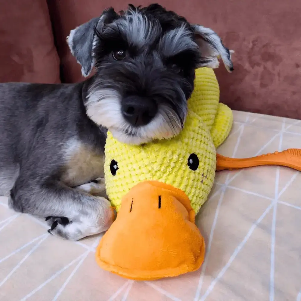 Calming Duck Toy by Wowpetsmart®-🔥 Halloween Special Buy one get one free - Image 7
