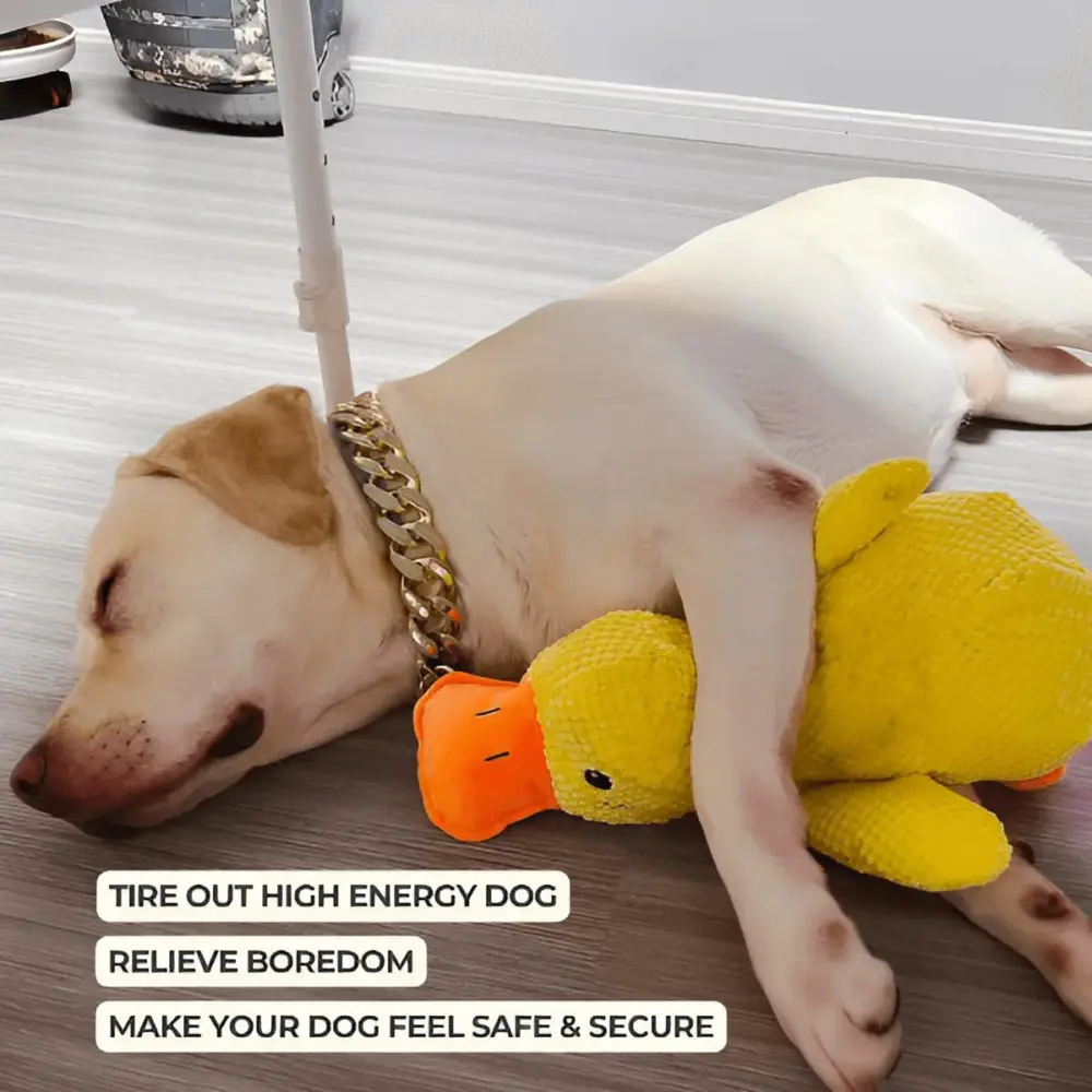 Calming Duck Toy by Wowpetsmart®-🔥 Halloween Special Buy one get one free - Image 3
