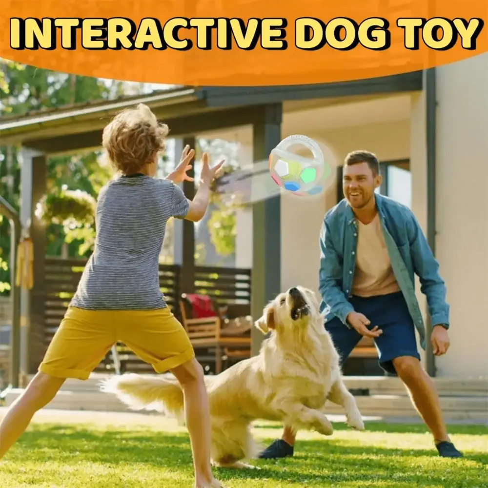 PawKick™ Durable Soccer Toy – Bouncy. Bite-Resistant & Fun  Buy one get one free, double the fun - Image 2