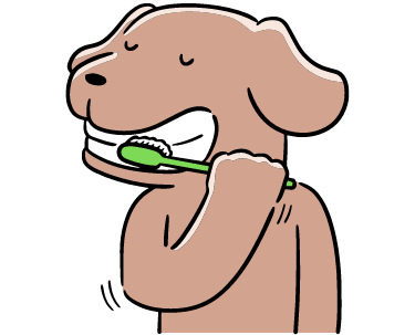 🔥ROBUSTDUCK-DESIGNED FOR HEAVY CHEWERS - 🚨 Limited-Time Offer: Today only. buy one ROBUSTDUCK and get one FREE!